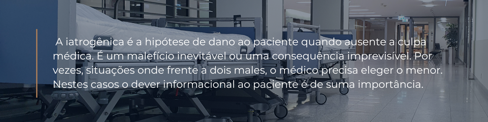 Banner de Linkedin simples com frase motivacional cinza com foto (6).png
